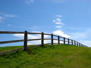Simbolična fotografija: Zelenica