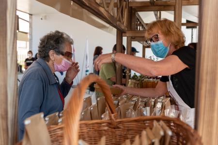 divaca_otvoritev_21-19