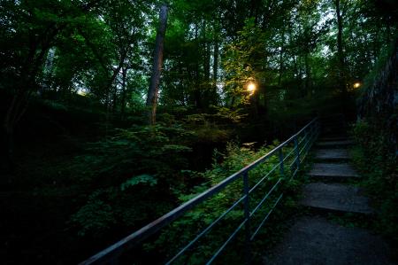 AlenfraProductions_20210625__Z6A1223_splet