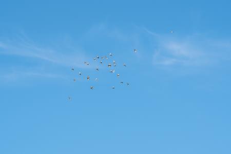 AlenfraProductions_20210626__DSC8839_splet