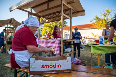 Alenfra_Koncert_Jure-Pockaj__Z6A7207_splet