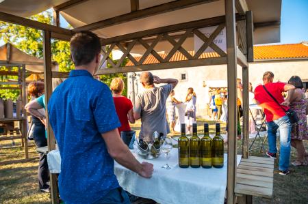 Alenfra_Koncert_Jure-Pockaj__Z6A7210_splet