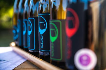 Alenfra_Koncert_Jure-Pockaj__Z6A7234_splet