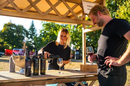 Alenfra_Koncert_Jure-Pockaj__Z6A7245_splet