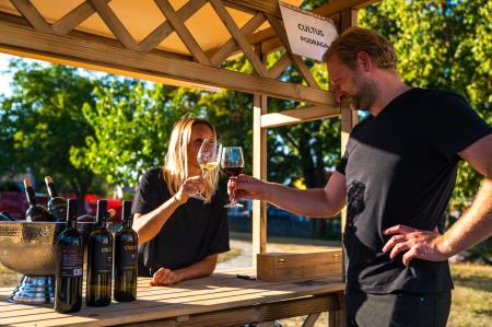 Alenfra_Koncert_Jure-Pockaj__Z6A7248_splet