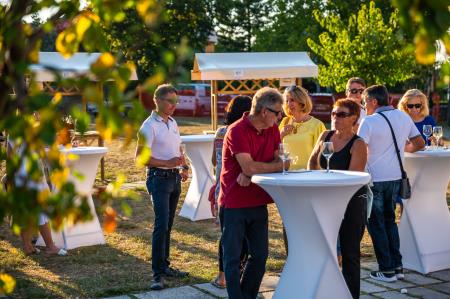 Alenfra_Koncert_Jure-Pockaj__Z6A7330_splet