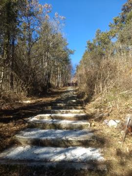 IMG_20220212_125307196