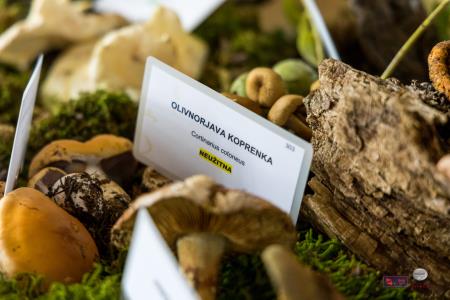 Pivovarstvo-pet_BeGR8-media__6AF9309_logotip