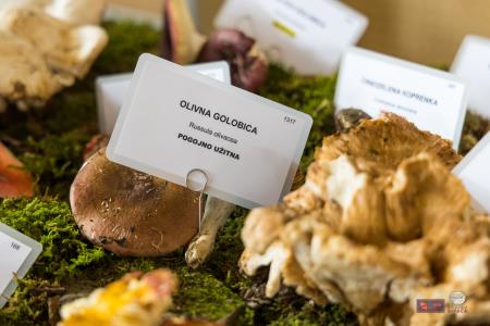 Pivovarstvo-pet_BeGR8-media__6AF9312_logotip