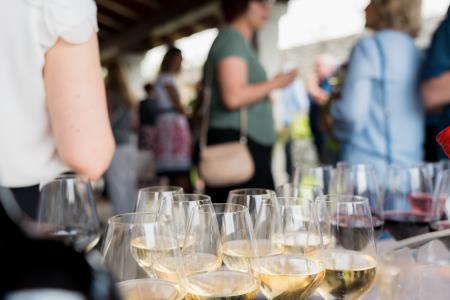 O-Divaca_SSeja_BeGR8-Media__7IV1010_manjse