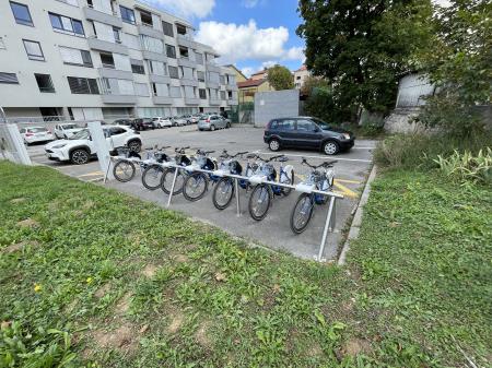 Na kolo za zelen svet in moder planet 