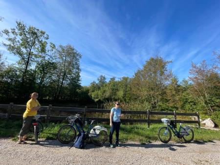 2bb8d7d2-df71-4d95-ac5d-7514131af541