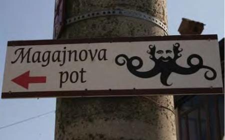 O življenju in delu dr. Bogomirja Magajne