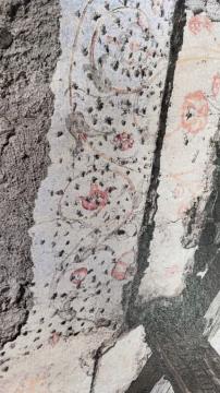 2DF58E82-6648-4112-96FC-C40879108408