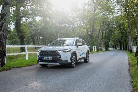 TM_2024-09-19__7RV8369-Edit