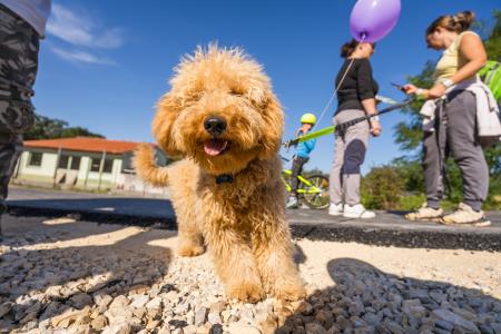 TM_2024-09-20__7RV9898