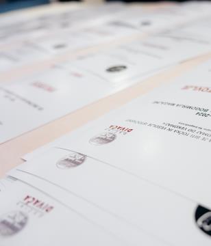 O-Divaca_Trio-pupe__7RV9705_BeGR8-Media_manjse