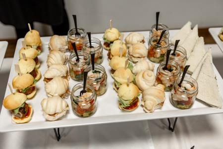 zupanjin_praznicni_sprejem_jan_2025-213