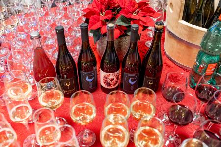 zupanjin_praznicni_sprejem_jan_2025-217