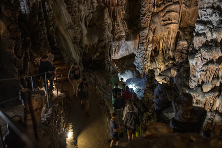 54698780578_434a315c44_k