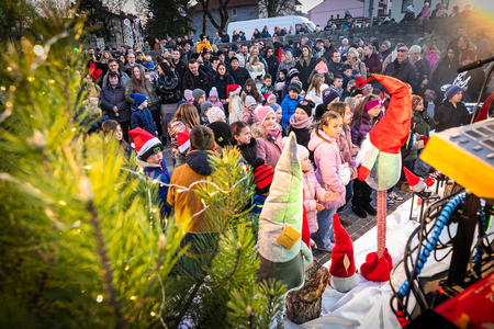 DEDEK_MRAZ_DIVACA-50