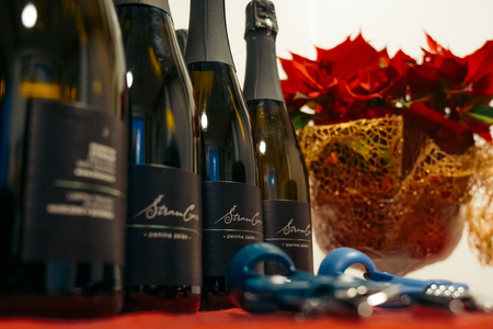 O-Divaca_Zupanjin-sprejem__7RV8186_BeGR8-Media_Manjse