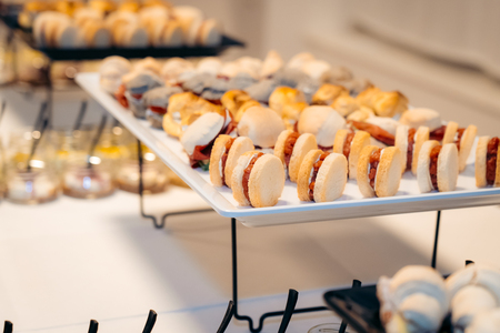 O-Divaca_Zupanjin-sprejem__7RV8531_BeGR8-Media_Manjse