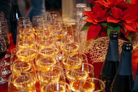 O-Divaca_Zupanjin-sprejem__7RV8539_BeGR8-Media_Manjse