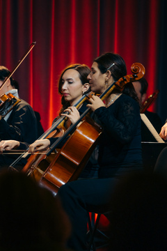 O-Divaca_Zupanjin-sprejem__A679007_BeGR8-Media_Manjse