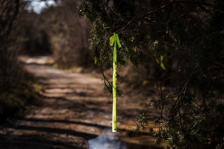 658208962_122181104312833138_6073868832833710910_n